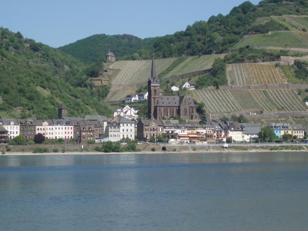 Weingut Theodor Nies Apartment Lorch am Rhein Ngoại thất bức ảnh
