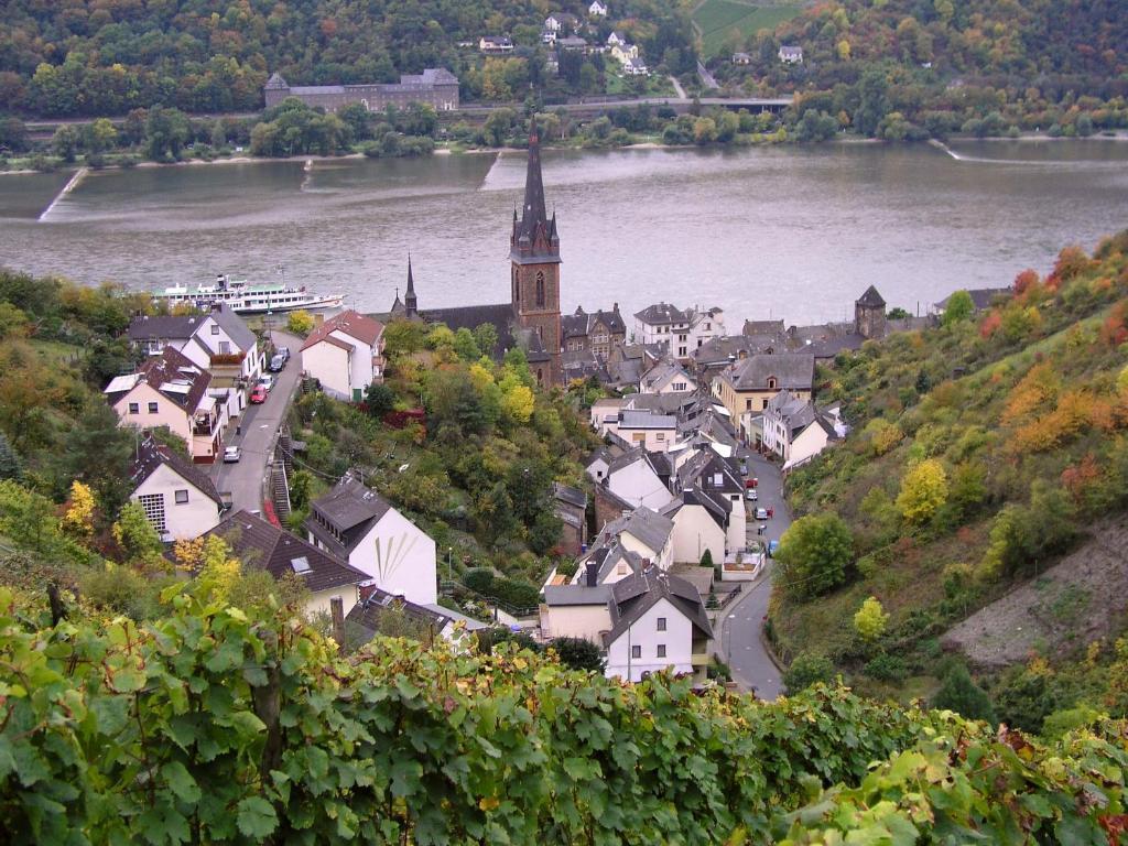 Weingut Theodor Nies Apartment Lorch am Rhein Ngoại thất bức ảnh