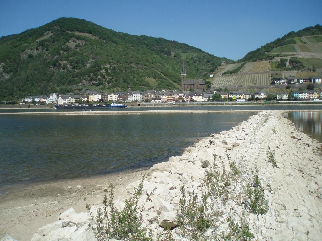 Weingut Theodor Nies Apartment Lorch am Rhein Ngoại thất bức ảnh